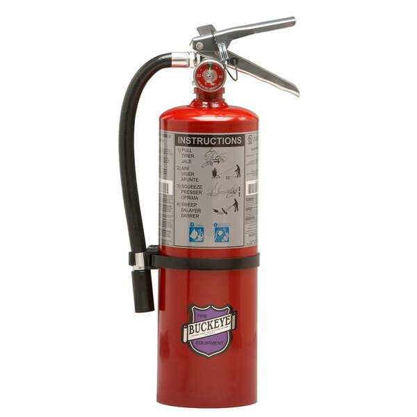 Buckeye 5 lb. Purple K Dry Chemical BC Fire Extinguisher - Rechargeable Untagged - UL Rating 20-B:C