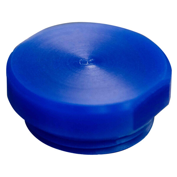 A blue plastic Tortilla Masters bushing cap.