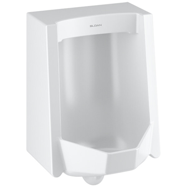 Sloan 1171019 Vitreous China Standard Washdown Urinal with SloanTec ...