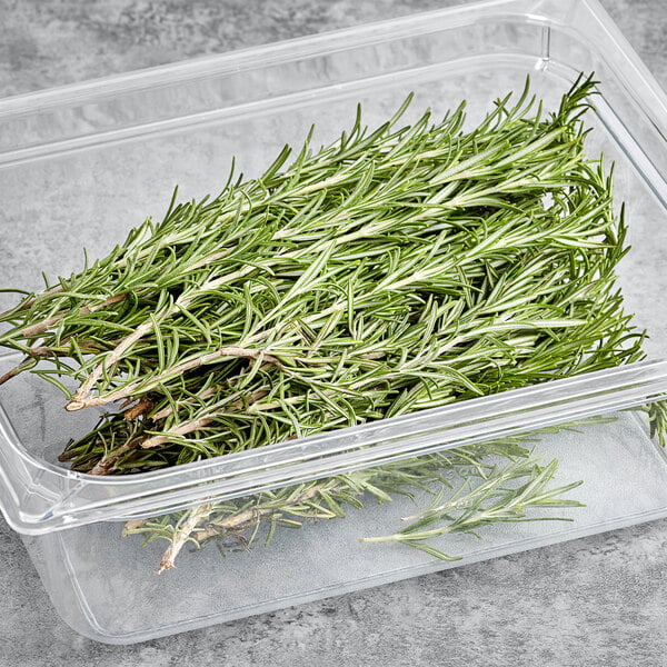 A clear plastic container of fresh rosemary.