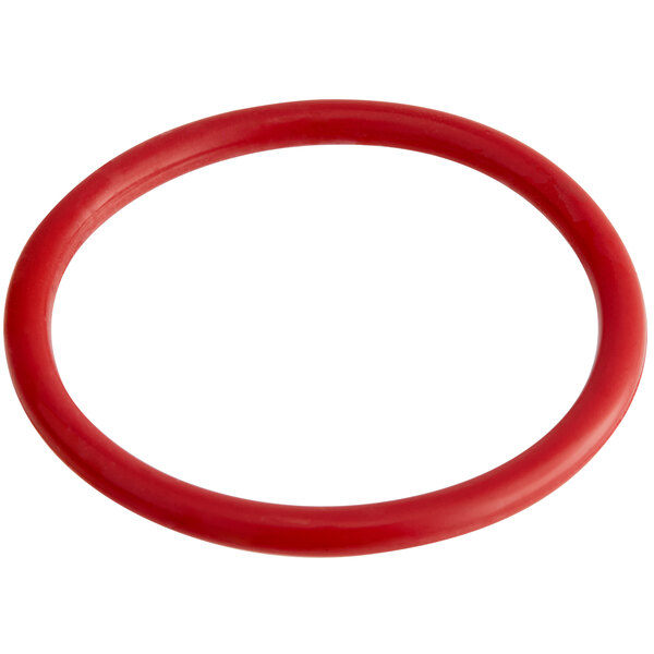 A ServSense red O-ring with a white background.