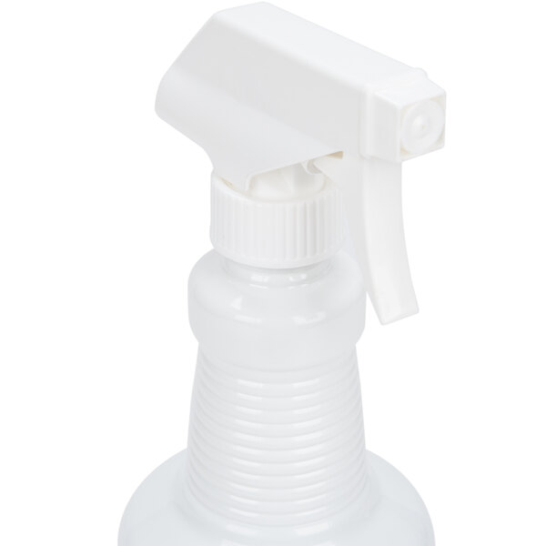 JT Eaton 207W Water Based Bed Bug Spray 1 Qt.