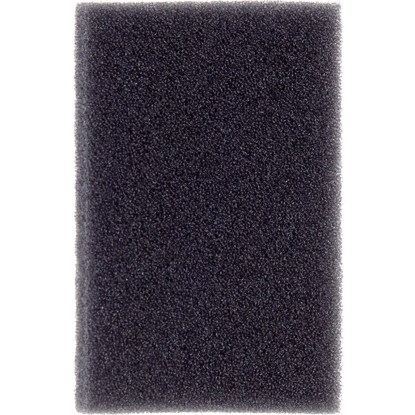 A black foam filter for a vacuum.