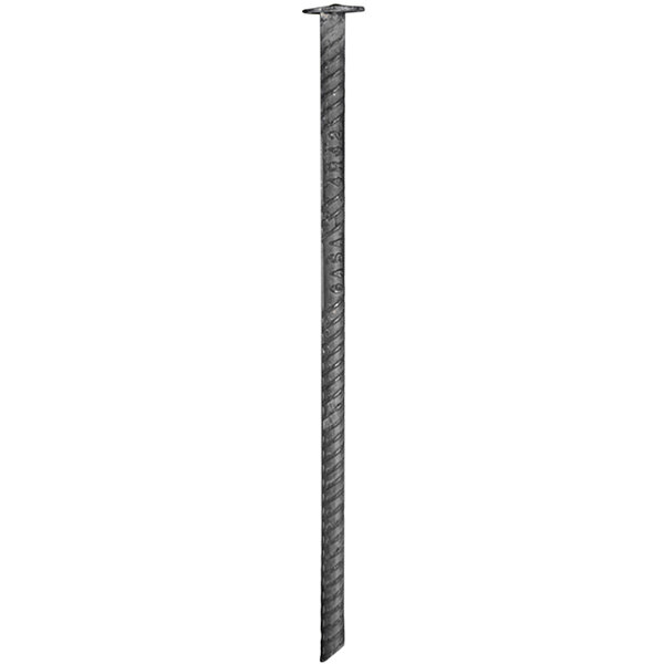 A long metal pole with a screw on the end.