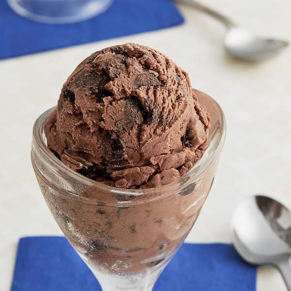 Double Chocolate Chip Cookie Dough Ice Cream Topping and Inclusion 10 lb.