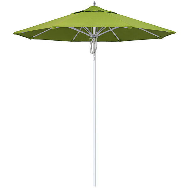 A green California Umbrella with a Sunbrella Macaw canopy on a silver pole.