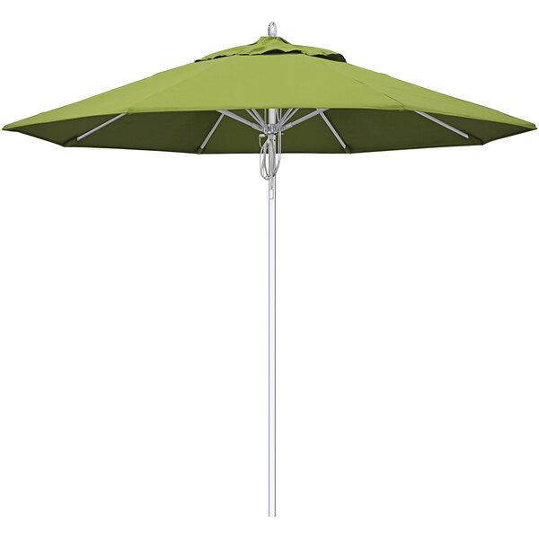 A close-up of a green California Umbrella with a silver pole.