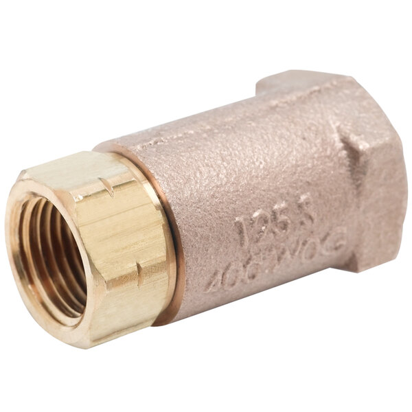 A T&S brass check valve with 1/2" NPT female connections.