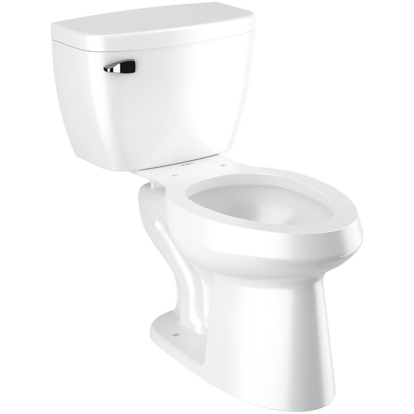Sloan 8029.8010 ADA Elongated FloorMounted Toilet with Pressure