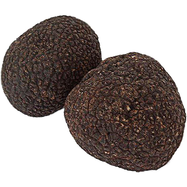 Two brown round Urbani Fresh Australian Black Truffles.