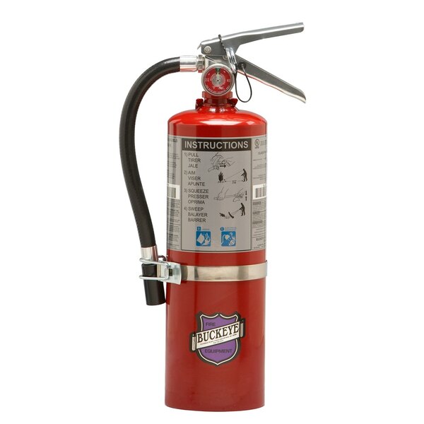 Buckeye 5 lb. Purple K Dry Chemical BC Vehicle Fire Extinguisher - Rechargeable Untagged - UL Rating 20-B:C