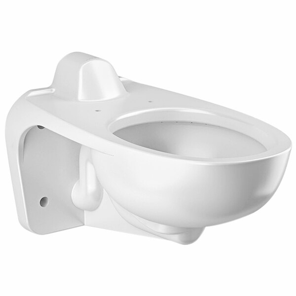 A white Sloan elongated wall-mounted toilet with a bowl.