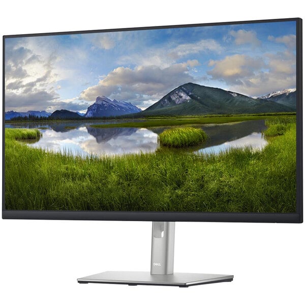 A Dell computer monitor displaying a landscape of green mountains and a lake.