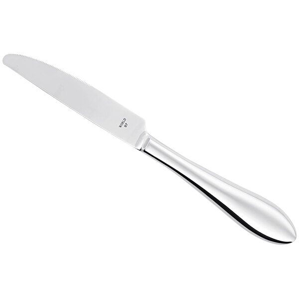 A Libbey stainless steel dinner knife with a silver handle on a white background.