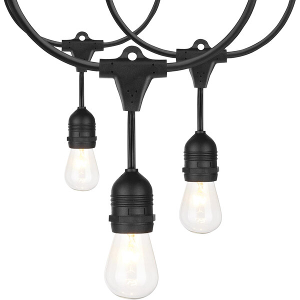 A group of 24' incandescent string lights with black S14 bulbs hanging in a room on an outdoor patio.