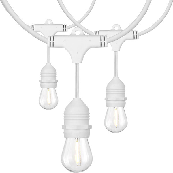 24' LED String Lights with White Cord and (12) S14 Bulbs 120V, 12W, 2200K