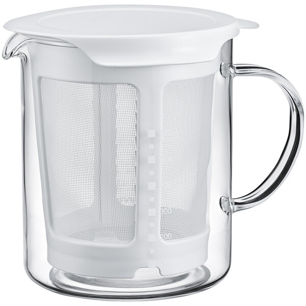 Hario 20 oz. Glass Dashi Pot / Teapot with Mesh Infuser DP600W