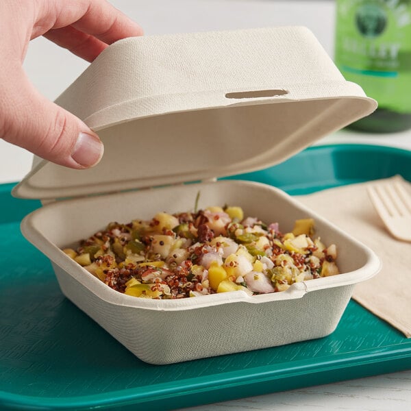 A hand holding an EcoChoice Natural Bagasse take-out container of food.