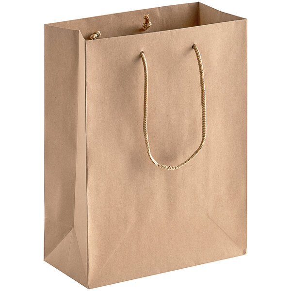 A brown paper bag with a gold rope handle.