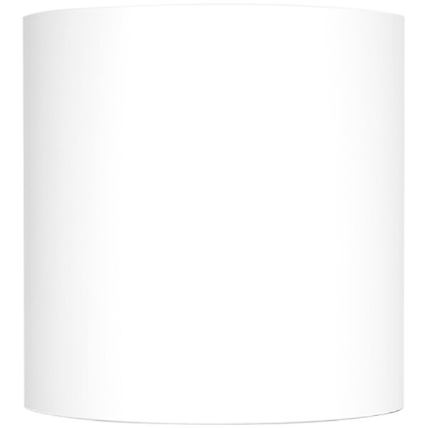 A white Star Blue Core Linerless label paper roll on a white background.