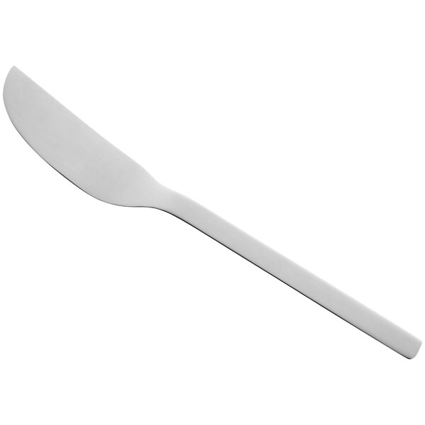 A RAK Porcelain stainless steel fish knife with a white handle.