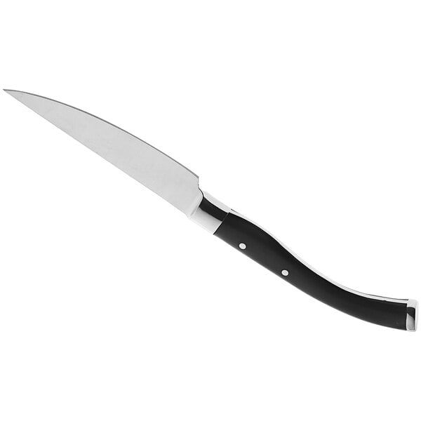 A RAK Porcelain steak knife with a black handle and silver blade.