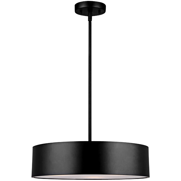 A Canarm Dexter black pendant light with a circular black shade.