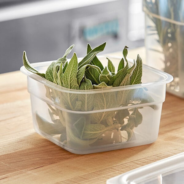 A Cambro translucent plastic container with green leaves inside.