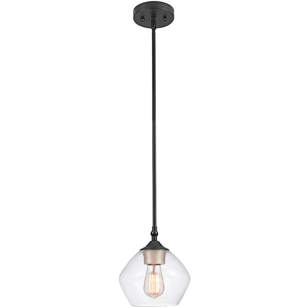 A Globe pendant light with a black metal pole and clear glass shade.