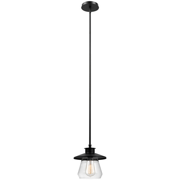 An oil-rubbed bronze pendant light with clear and black glass over a light bulb.