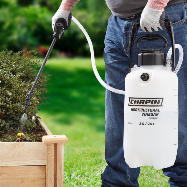 Chapin G2005P 2 Gallon Horticultural Vinegar Poly Sprayer
