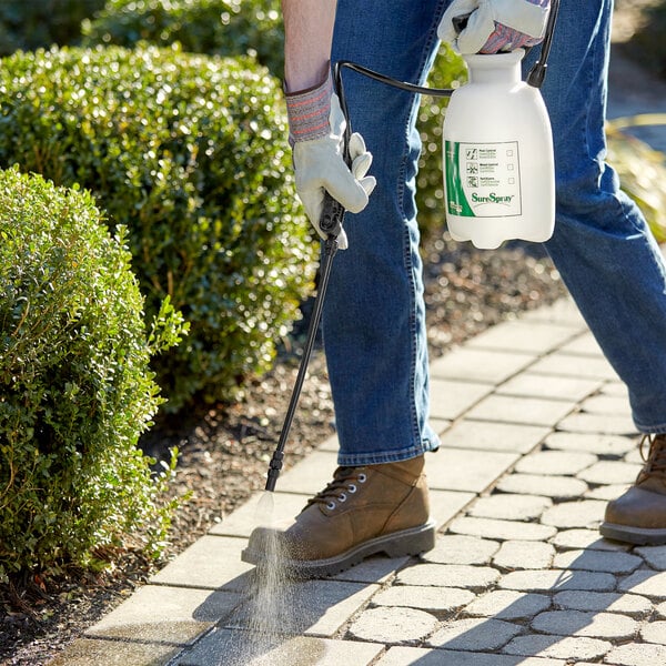 A person spraying a sidewalk with a white Chapin sprayer with a green label.