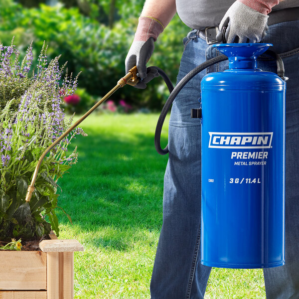 A man using a blue Chapin steel sprayer to spray plants.