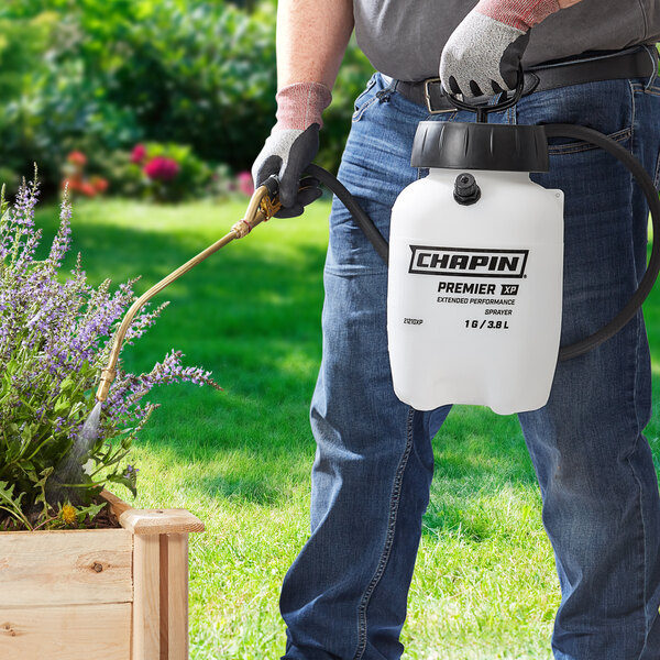 A person using a Chapin Premier Pro XP sprayer to water purple flowers.