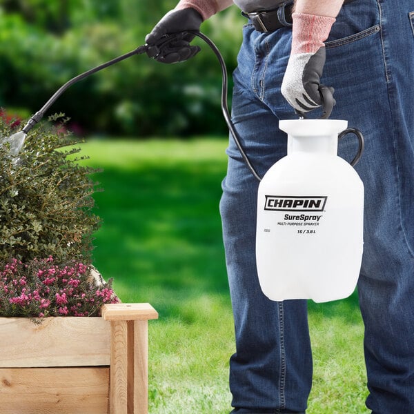 A person using a Chapin garden sprayer to spray plants.