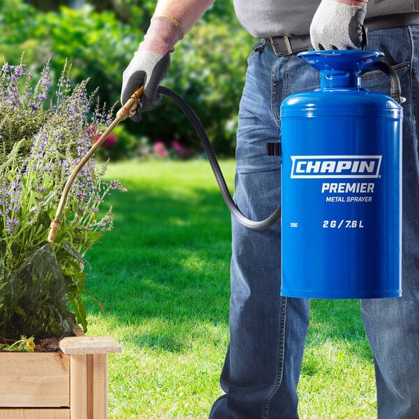 A person using a blue Chapin steel sprayer to spray plants.