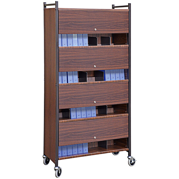 Omnimed Versa Woodgrain 4-Shelf Cabinet Style Rack with Locking Panels ...
