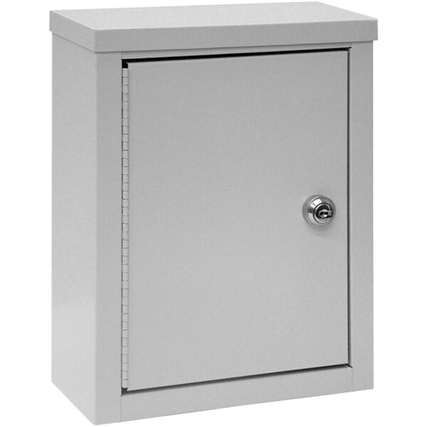 Omnimed 9" x 4" x 12" Light Gray WallMount Storage with Key