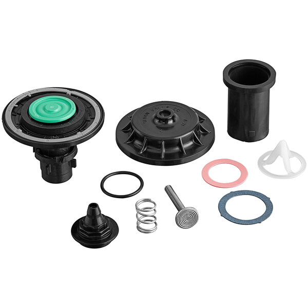 A Sloan Royal Diaphragm Tune Up Kit with a green ring and spring.