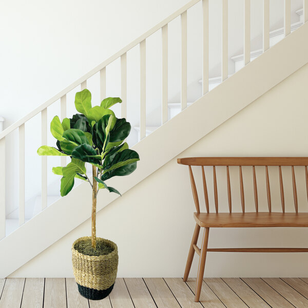 LCG Sales 3' Artificial Fig Tree in TriColor Basket