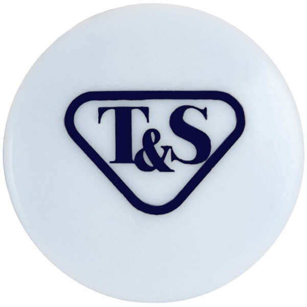 A white circle with blue letters that spell "T&S"