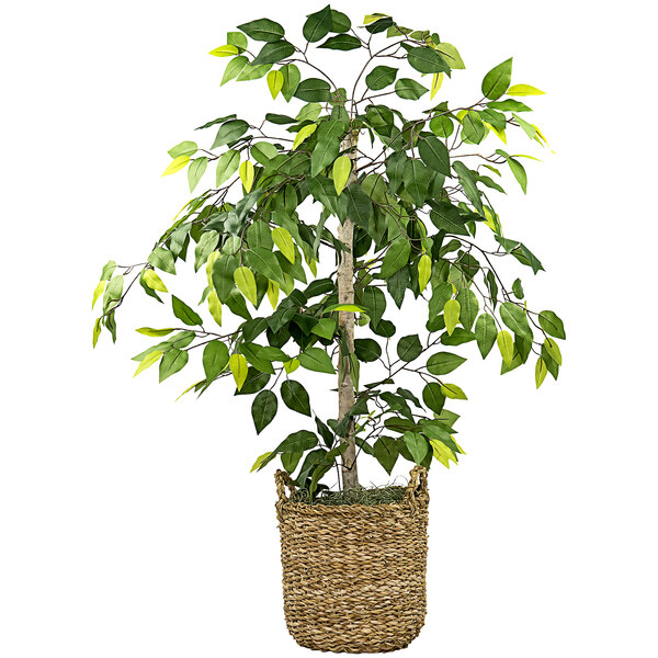 A LCG Sales artificial ficus tree in a basket with handles.