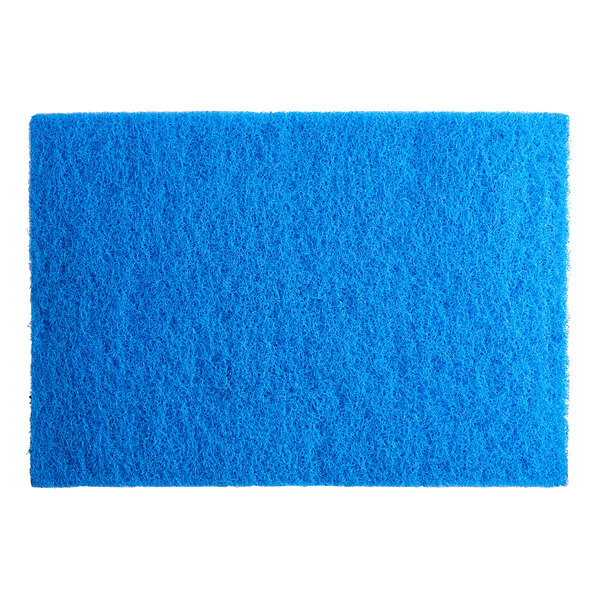 A blue sponge pad with a white border.