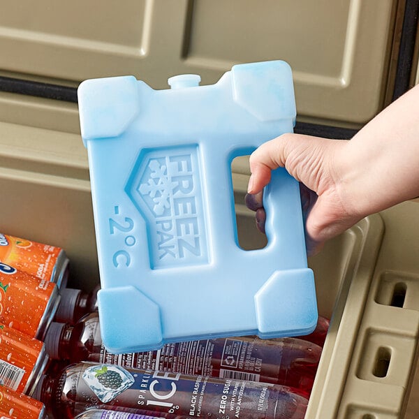A hand holding a blue cooler with Lifoam Freez Pak Medium Extra Cold ice packs inside.