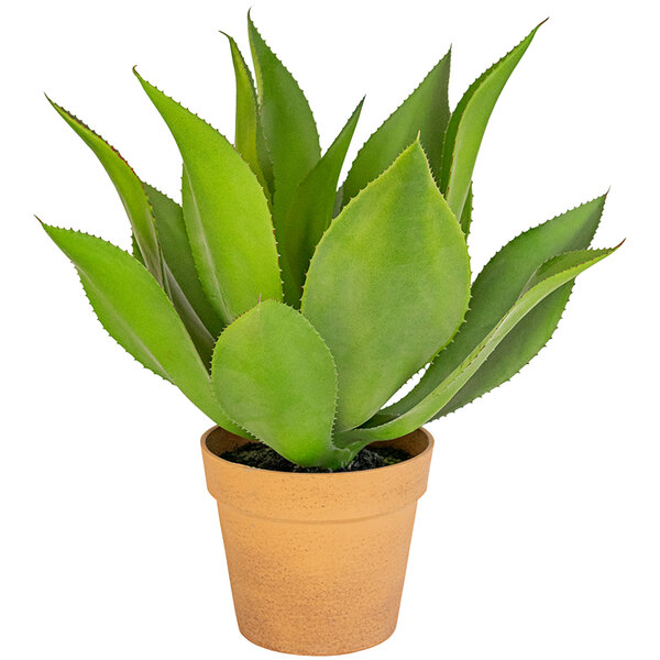 ソウラボAGAVE- [ Z ] ERO BOTANIZE PLA POT Amazon.com: Ttranewsoo Artificial Agave Plants,Large UV