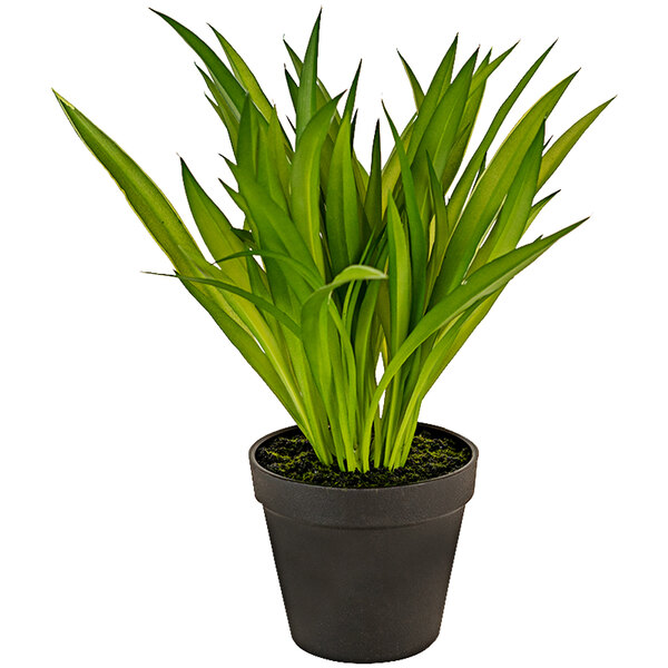 Kalalou Artificial Green Grass in Black Pot