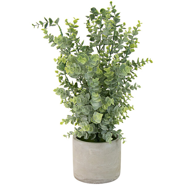 Kalalou Artificial Boxwood Plant in Cement Pot