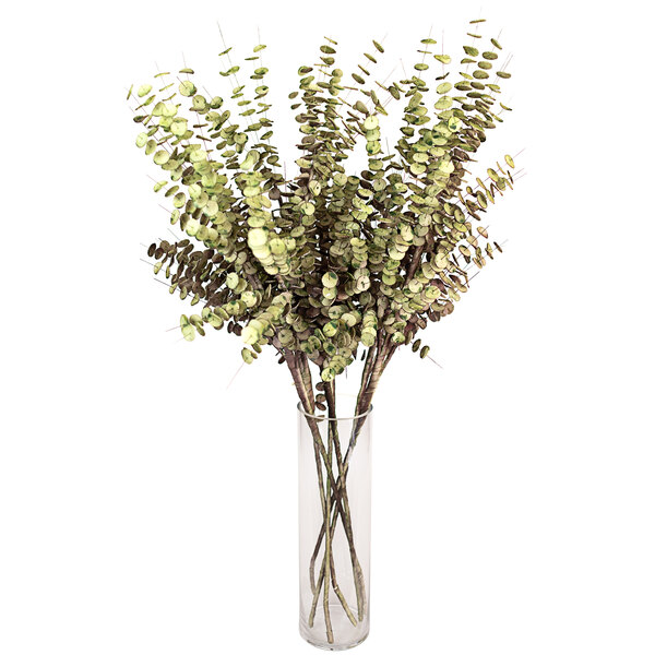 Kalalou 42" Artificial Eucalyptus Stems 6/Case