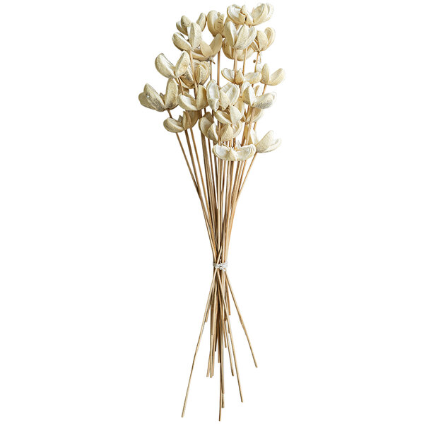 A bunch of sticks with dried white bullet flowers.