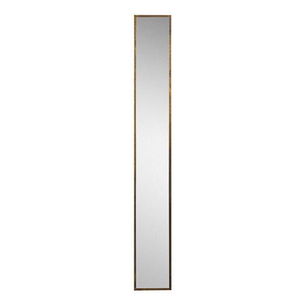 Kalalou 8" x 60" Tall Thin Wall Mirror